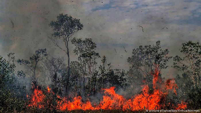 Picture shows fire burning through the Amazon.