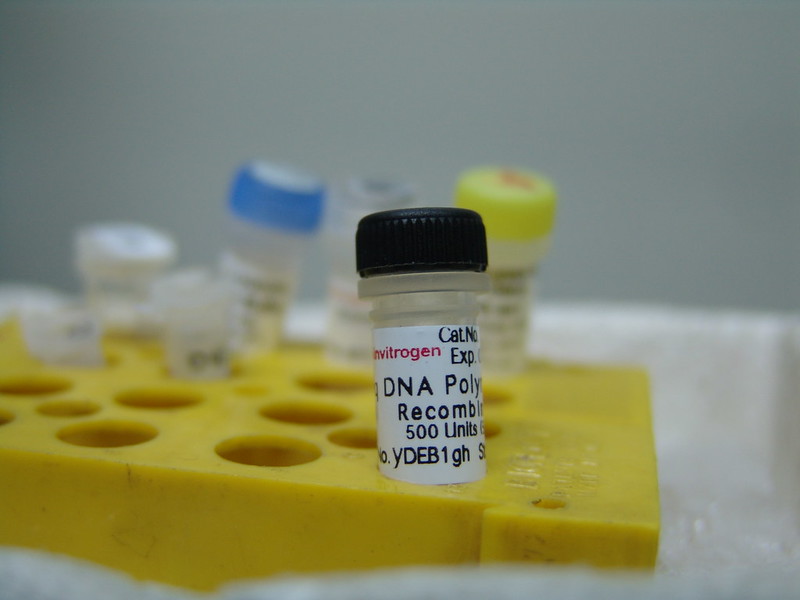 Photo of a DNA sample in lab